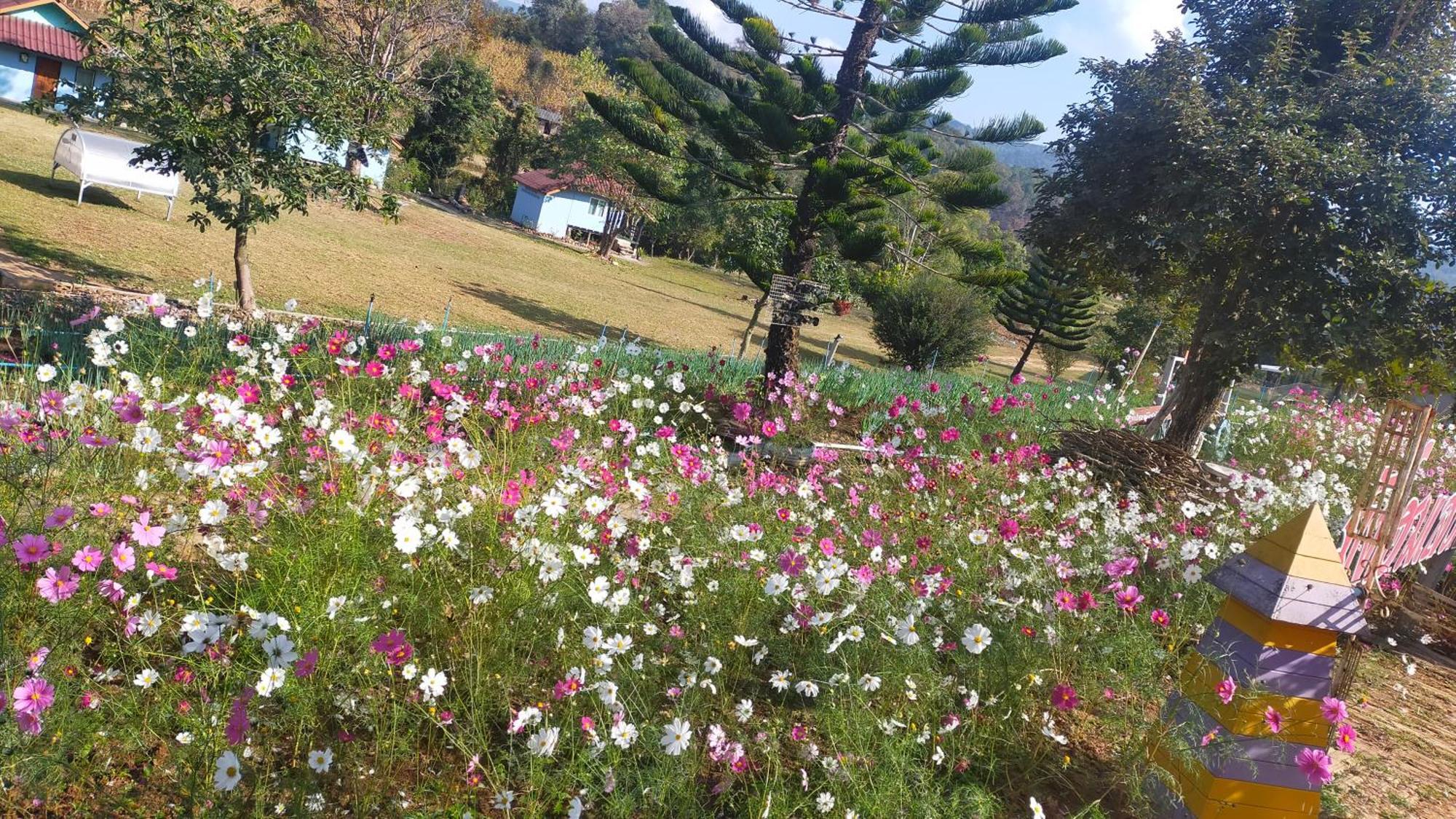 Mong Homestay Resort Pang Ung Bagian luar foto