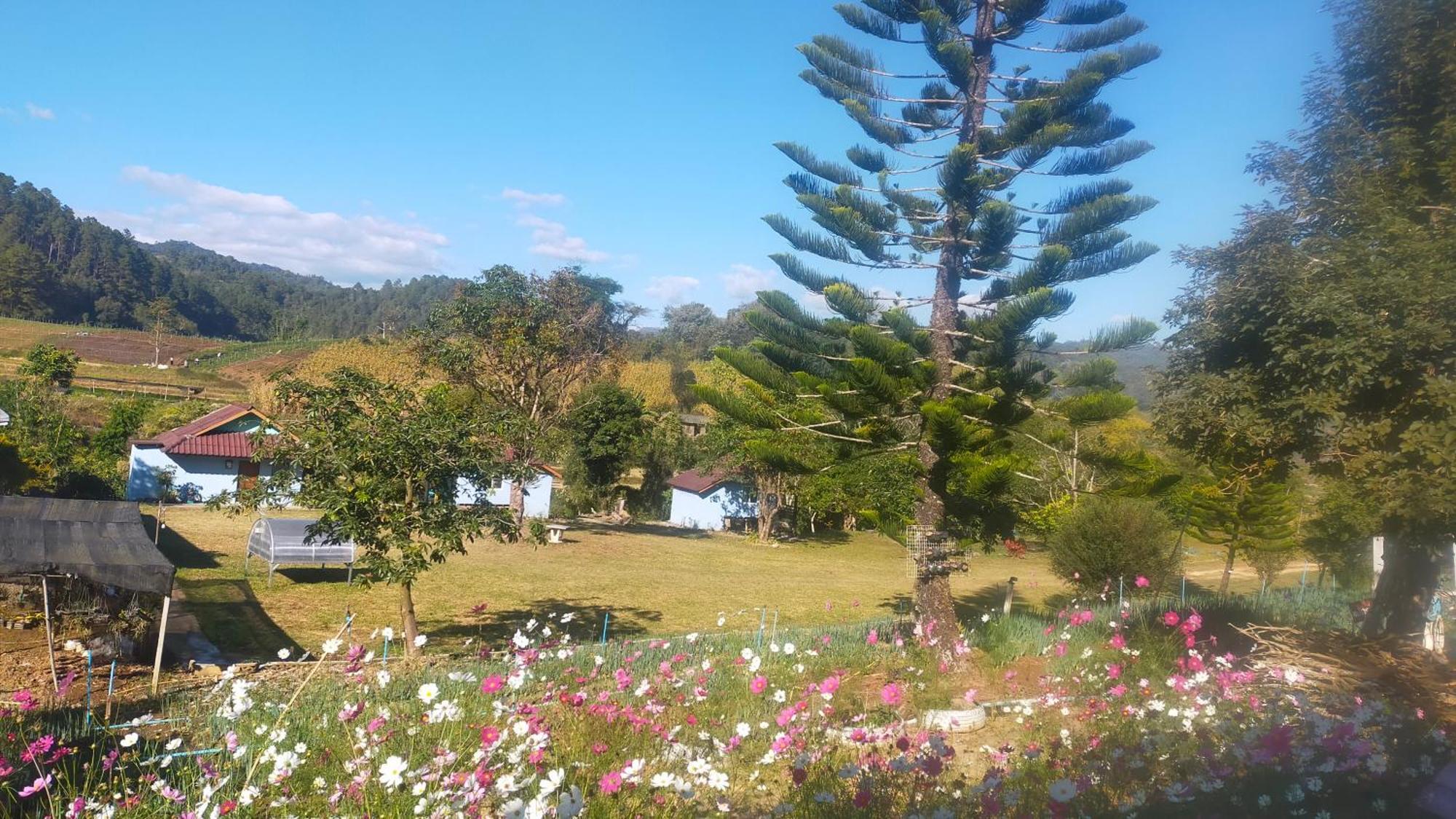 Mong Homestay Resort Pang Ung Bagian luar foto