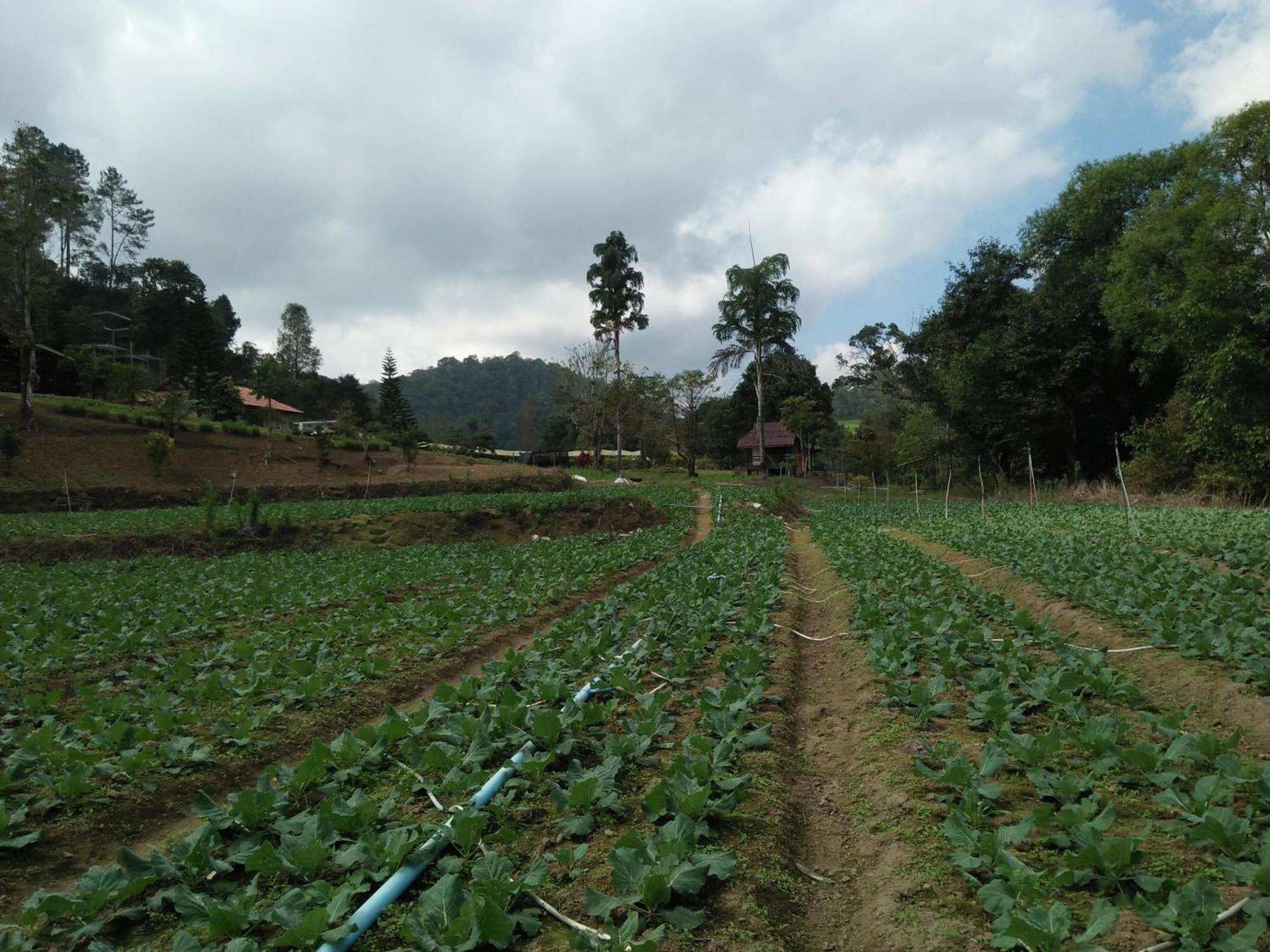 Mong Homestay Resort Pang Ung Bagian luar foto